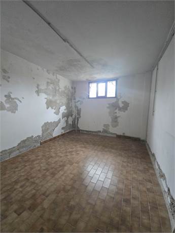 Photo 35