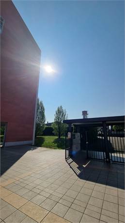 Photo 38