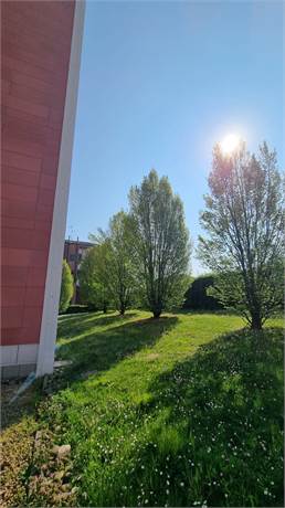 Photo 39