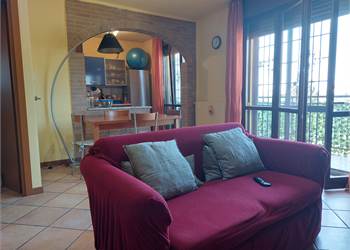 Due locali - contratti transitori