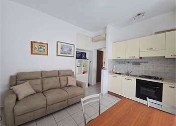  Due locali - contratti transitori